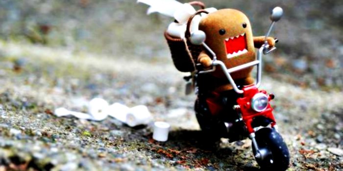 1582x1021 Domo Hd Wallpapers Free Download | Wallpapers Style