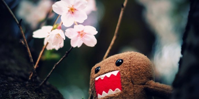 1440x900 Best Domo Wallpaper For IPhone Wallpaper | WallpaperLepi