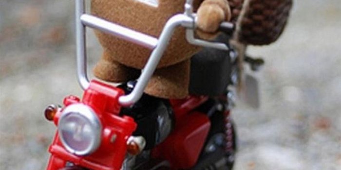 1080x1920 Domo Kun on Scooter Android wallpaper - Android HD wallpapers