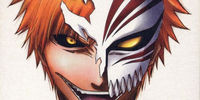 1193x1080 Ichigo Kurosaki Wallpaper | 1193x1080 | ID:50965