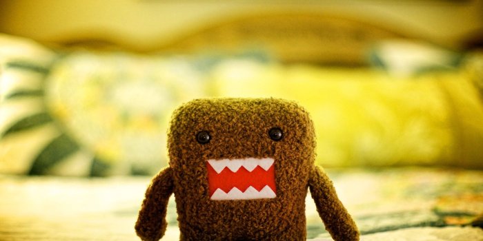 1920x1200 Domo, HD, Wallpaper, Download, Domo, Images, Free, Desktop Images