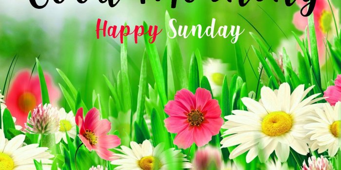 1529x1200 Sunday Good Morning Quotes Images Wishes Wallpaper Photo Pics