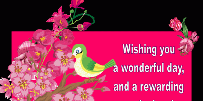 1024x934 happy sunday 03 | sunday | Happy sunday quotes, Happy sunday images