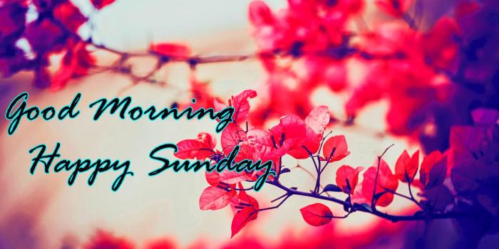 1600x900 Sunday Good Morning Quotes Images Wishes Wallpaper Photo Pics