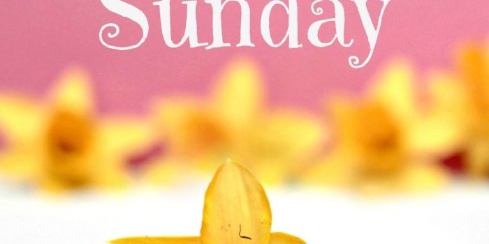 1280x1600 Happy Sunday Wallpapers