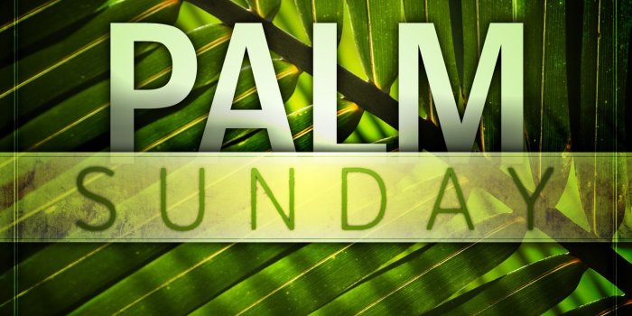 1500x1125 Happy Palm Sunday 2019 Whatsapp Status Dp fb Profile Cover Hd