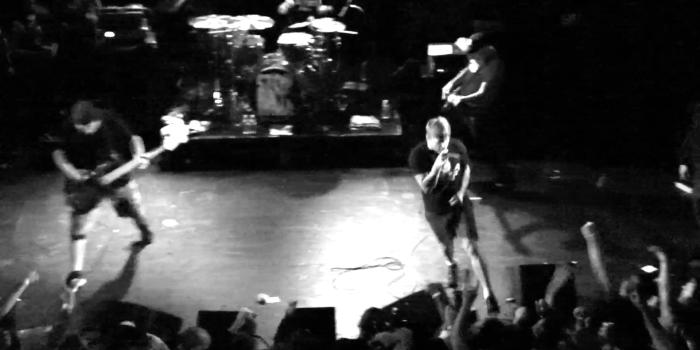 1920x1080 Best 51+ Cro Mags Wallpaper on HipWallpaper | Macro Backgrounds