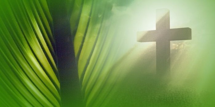 1024x768 Palm Sunday Wallpapers