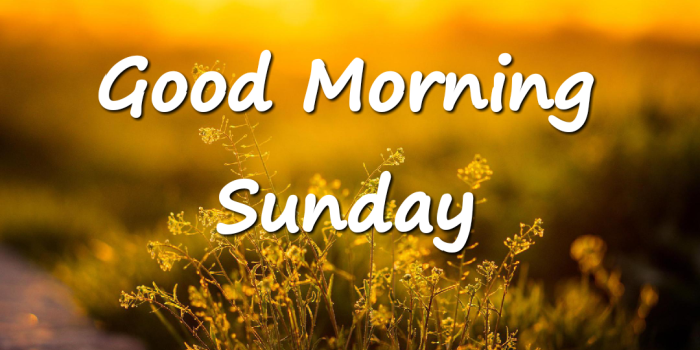 1080x990 Good Morning Sunday Images Hd - Good Morning Images Hd Sunday