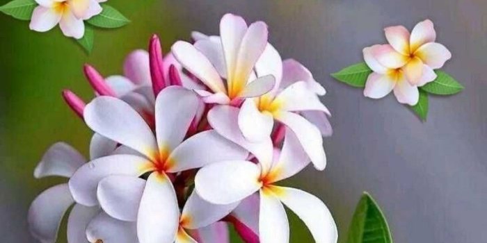 1080x1569 Get 312+ happy sunday wallpaper HD Wallpaper [] pict.icu