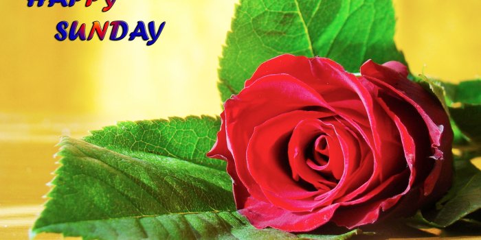 2560x1600 Happy Sunday Wallpapers
