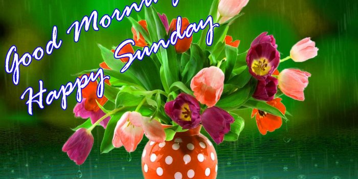 1680x1050 Sunday Good Morning Quotes Images Wishes Wallpaper Photo Pics