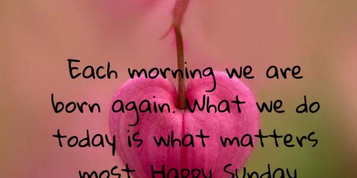 1080x1620 Good Morning Sunday Images, Wishes, Photos & Wallpapers [HD]