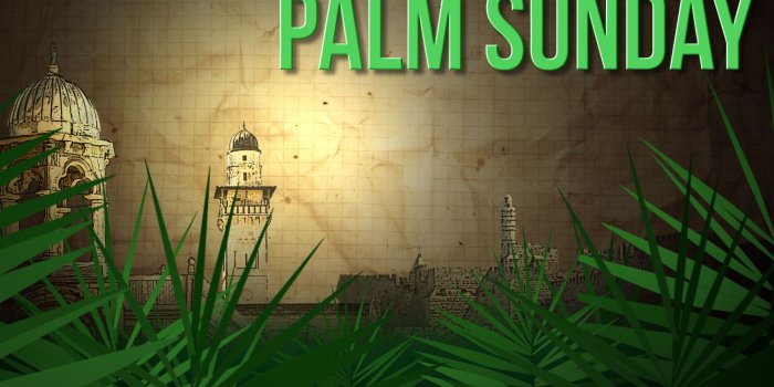 1920x1080 Palm Sunday Wallpaper Background - inn.spb.ru - ghibli wallpapers