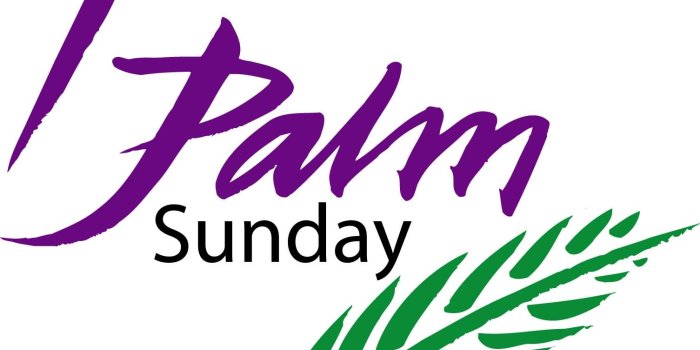 1505x1374 60 Beautiful Palm Sunday Greeting Pictures And Images