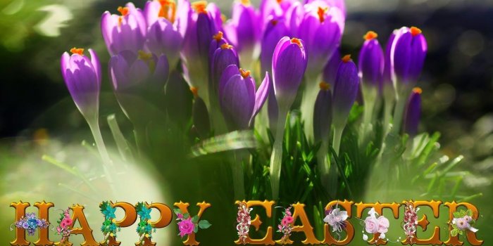1280x720 Happy Easter 2019: Best Collection Of Images, Pictures And Wallpapers