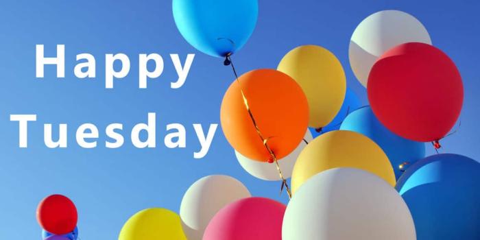 1156x768 Happy Tuesday HD Wallpaper, Images, Photos, Pictures 2019