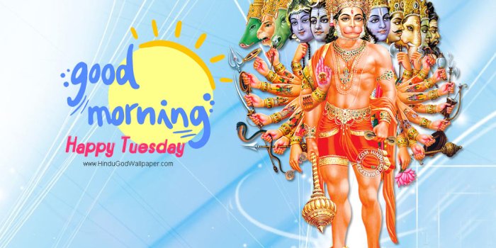 1024x768 Good Morning Tuesday Wallpapers & Images Free Download