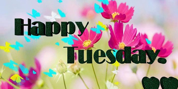1620x1080 Happy tuesday Good Morning Wishes,Happy tuesday Images, Photos, HD  Wallpaper Pics For Facebook