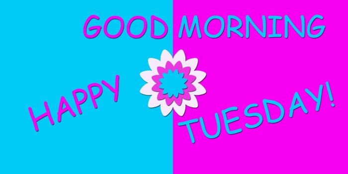 1920x1080 Happy Tuesday! HD wallpaper download