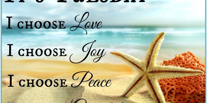 1334x978 Tuesday Love wallpaper