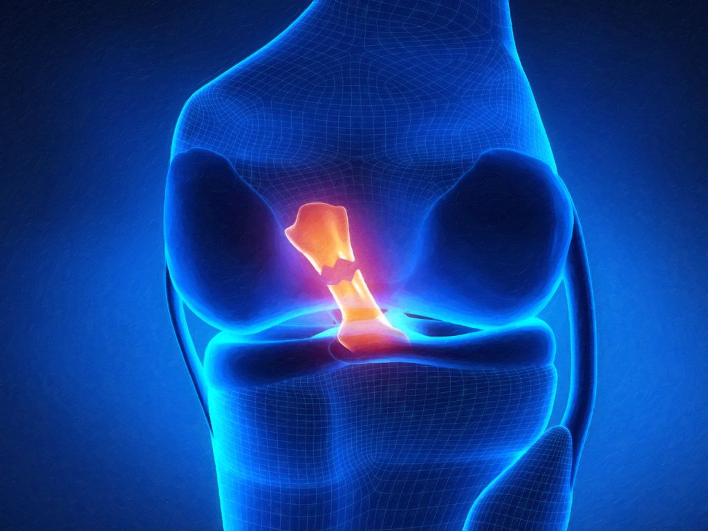 1024x768 Our Orthopedic Surgeries & Services - Orthopaedic Specialty Care