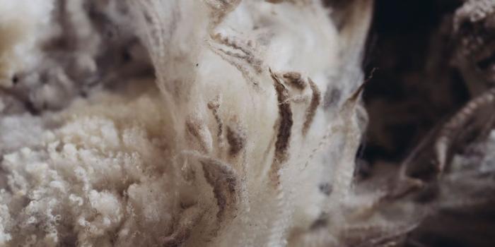 1239x1600 Fleece patrol: how organic wool from Patagonia is creating