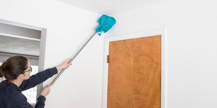 1280x853 Everything You Need to Know About Cleaning Walls and Wallpaper | HGTV