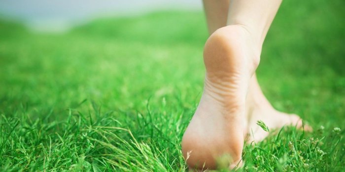 1332x850 Wallpaper greens, grass, girl, nature, background, Wallpaper, feet