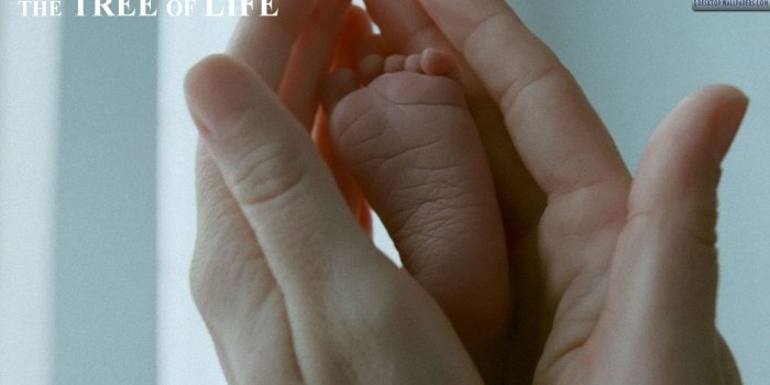 1920x1080 The Tree Of Life – Little Baby Foot In Hand Closeup Wallpaper