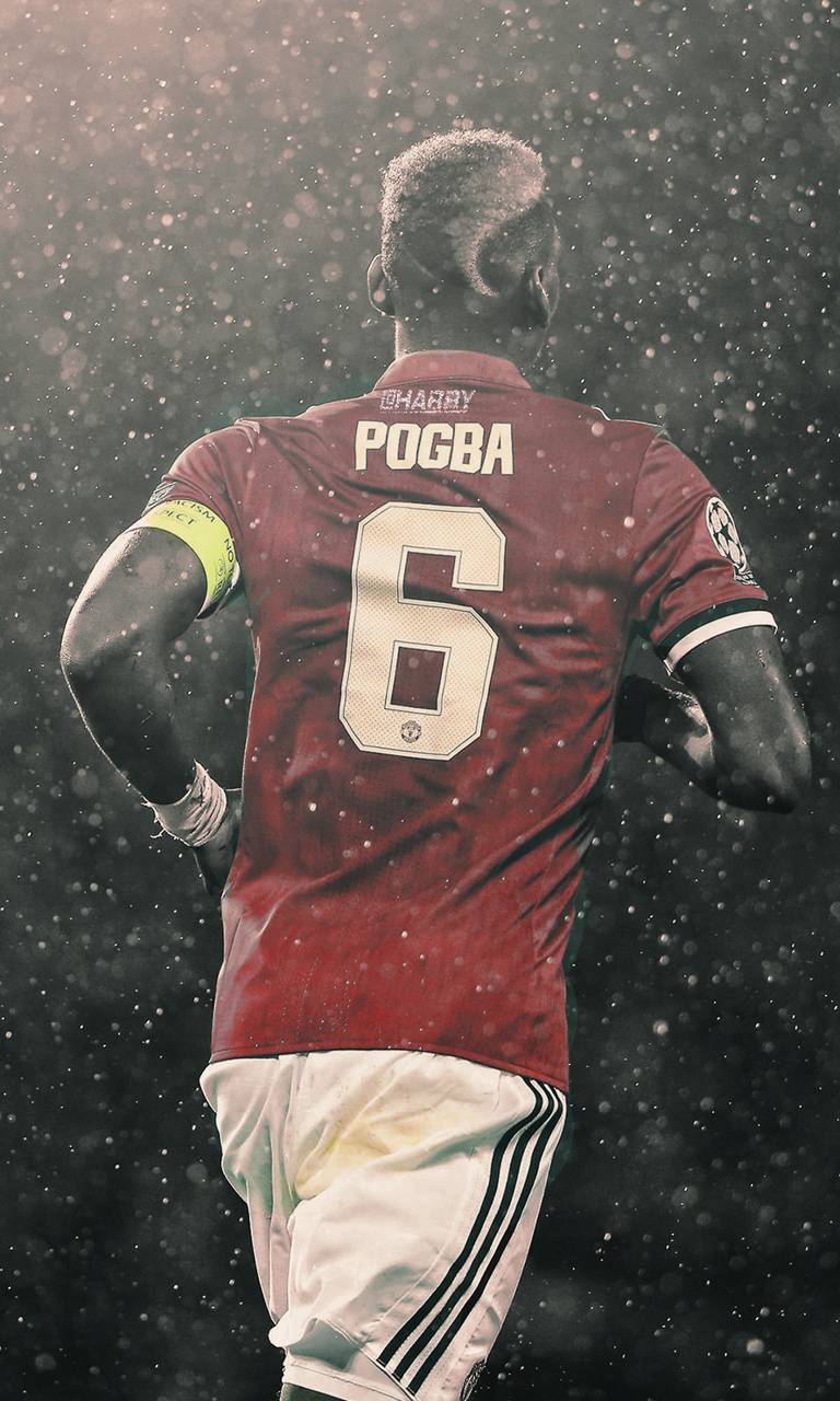 768x1280 Paul Pogba Wallpaper by harrycool15 - a6 - Free on ZEDGE™