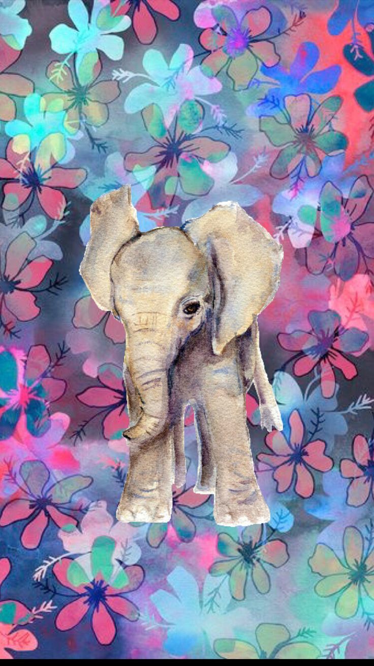 736x1309 Boho Elephant Wallpapers - Top Free Boho Elephant Backgrounds