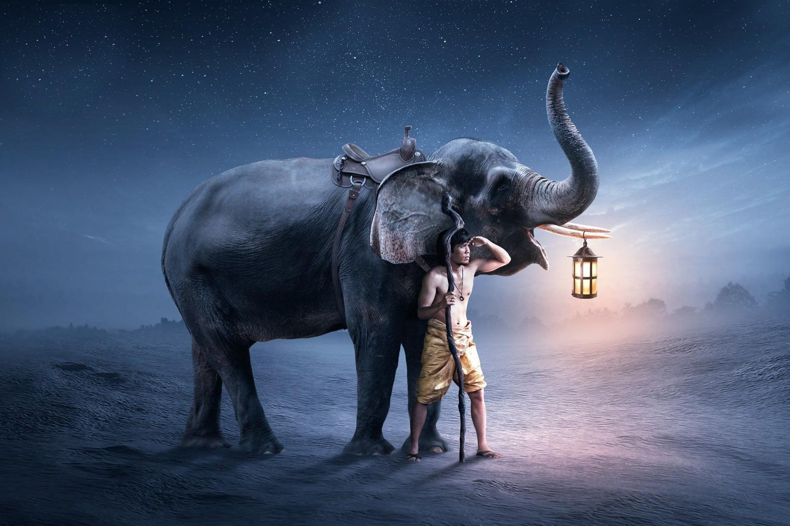 2048x1365 Fantasy Elephant Wallpaper 1 - 2048 X 1365