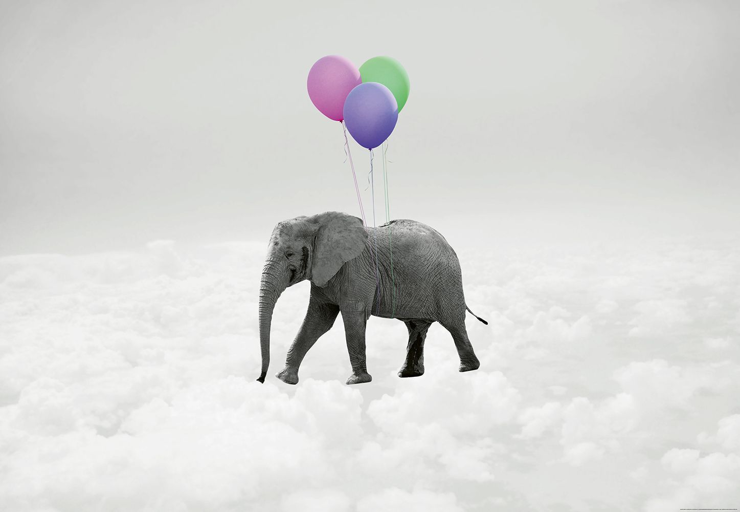 1447x1000 Photo wallpapers Elephant and Balloons | Shop online