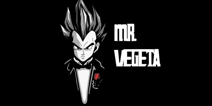 1920x1080 Mr. Vegeta HD Wallpaper | Background Image | 1920x1080 | ID:937697