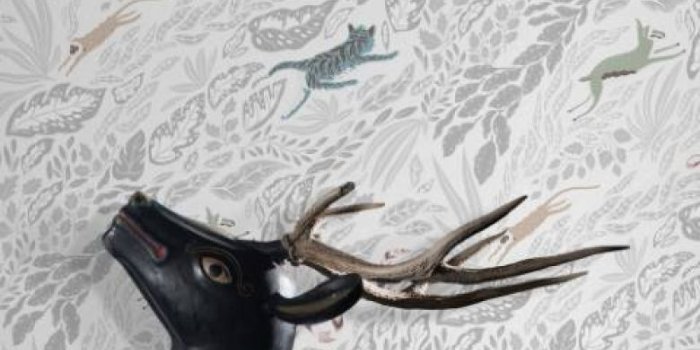 780x1155 Cool tropical jungle wallpaper | FEATHR™