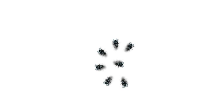 1440x1280 Persecution Of Flies Wallpaper by pdlittell - fd - Free on ZEDGE™