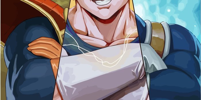 2804x4320 Vegeta illustration HD wallpaper | Wallpaper Flare