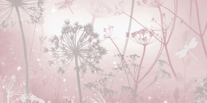 1000x1000 Arthouse Imagine Damselfly Wallpaper - 692305 - Blush