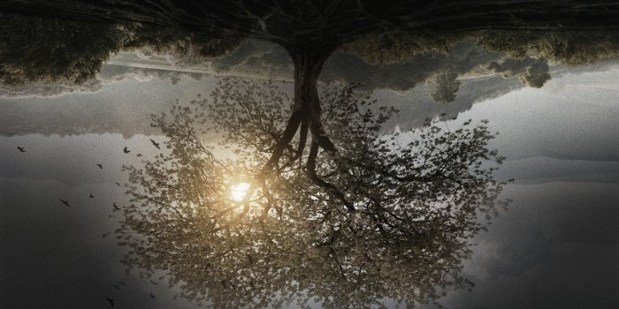 2880x1800 Insurgent wallpaper 4