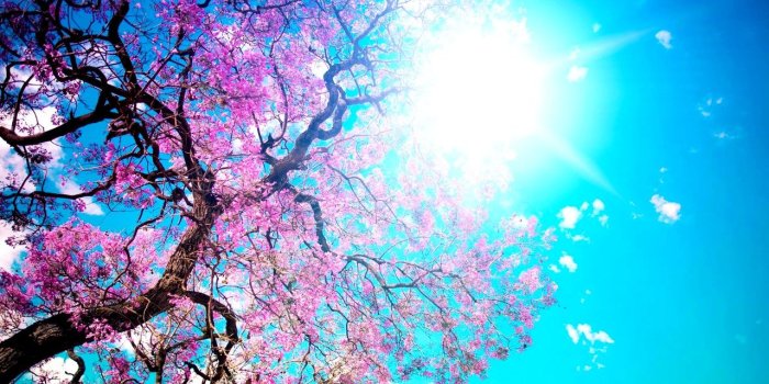 1280x800 Korean Wallpapers Widescreen #6771227 | WallpapersExpert.com