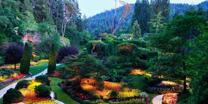 1920x1200 Butchart Gardens Wallpaper Plants Nature Wallpapers in jpg format