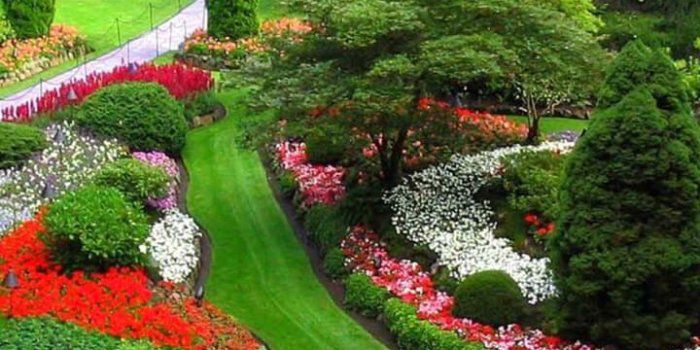 720x1280 HD Beautiful Garden Wallpapers for Android - APK Download
