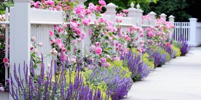 1920x1200 Flower Garden Wallpapers | Best Wallpapers