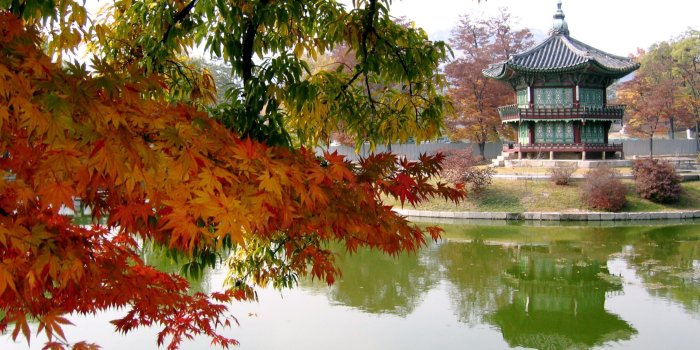 2560x1600 Korean Wallpapers