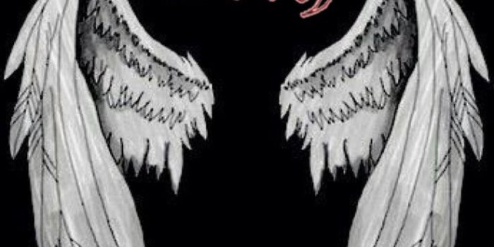 736x1600 wallpaper – ı loved to punishment