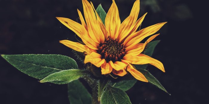 2168x3824 할수있다 I Can | Wallpaper | Korean language, Korean quotes, Learn