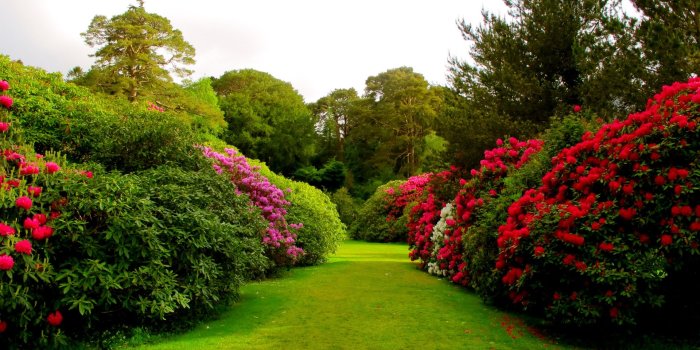 1920x1440 Garden Wallpapers 06 - [1920 x 1440]