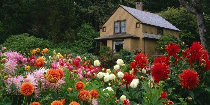 1600x1200 272 Garden HD Wallpapers | Background Images