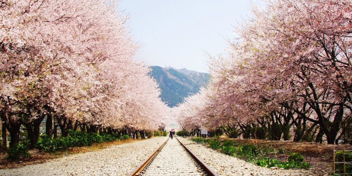 1280x1024 Korean Wallpapers Download #2BQLZP7 | WallpapersExpert.com